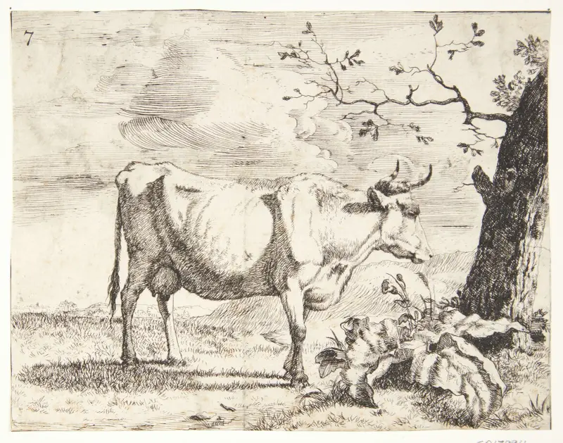 Stehende Kuh, nach rechts gewandt – Nr. 2 von Marcus de Bye