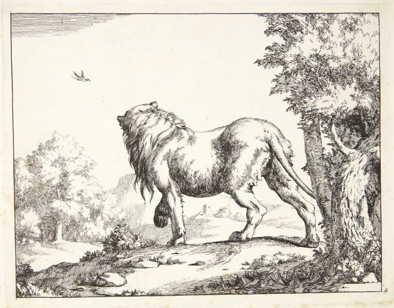 Stående løve, set bagfra, 1664 – nr 2 av Marcus de Bye