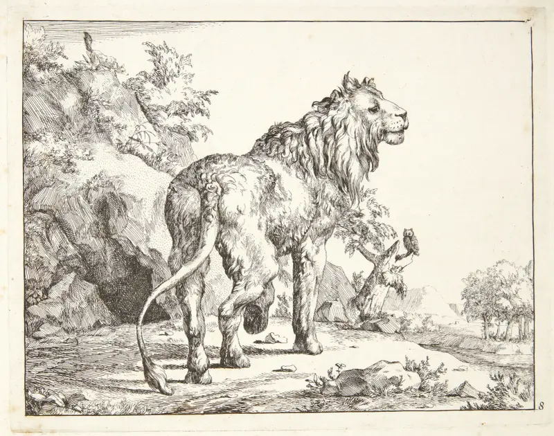 Stehender Löwe, von hinten gesehen, 1664 – Nr. 1 von Marcus de Bye