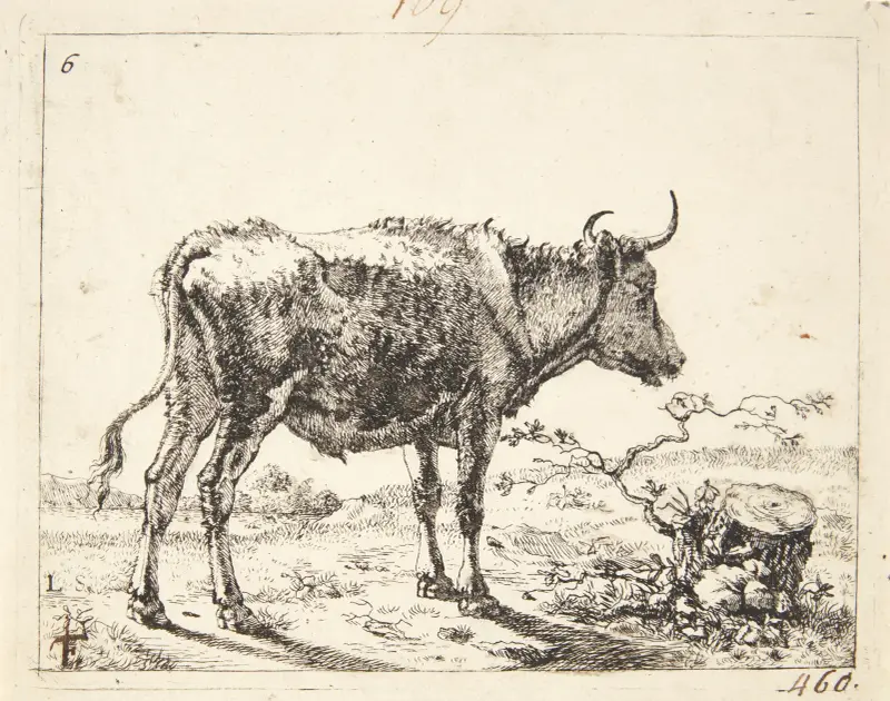 Stehende Studie, nach rechts gewandt von Marcus de Bye