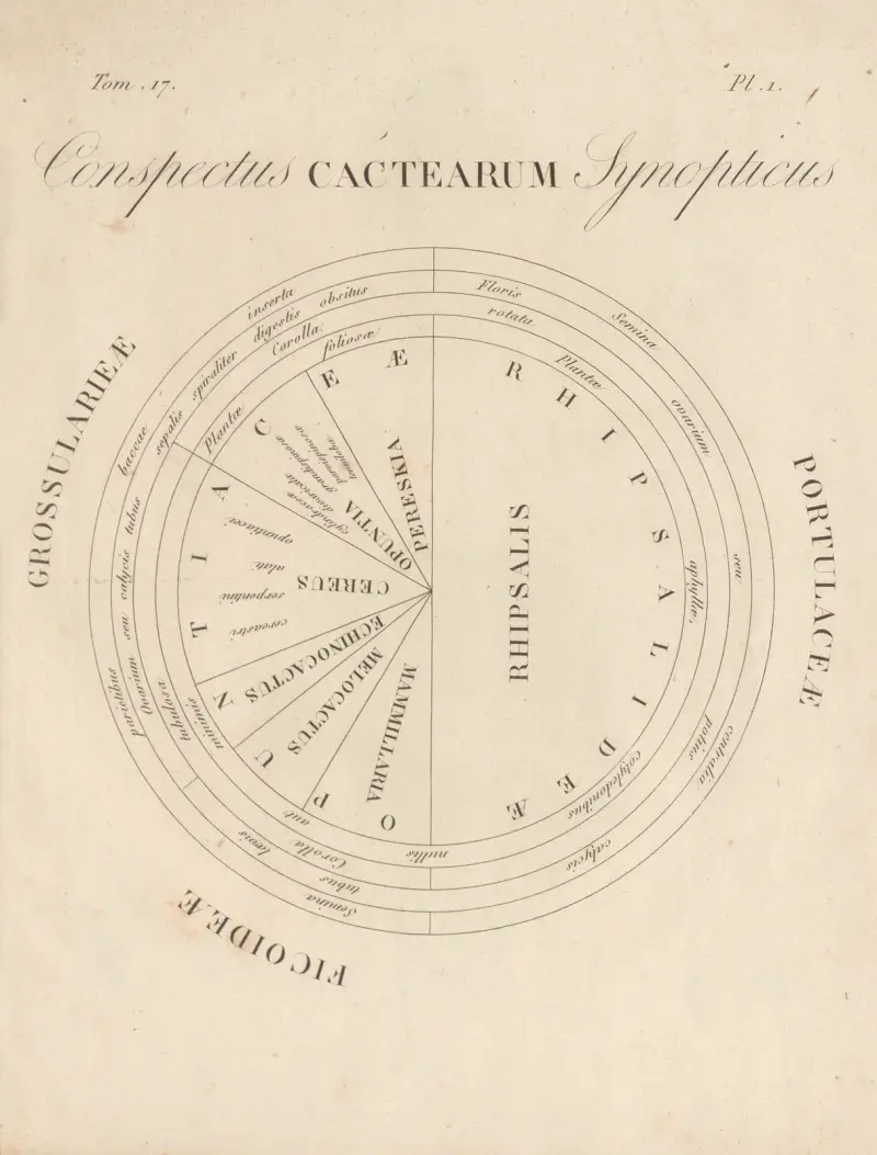 Conspectus Cactearum Synopticus, Augustin Pyramus de Candolle