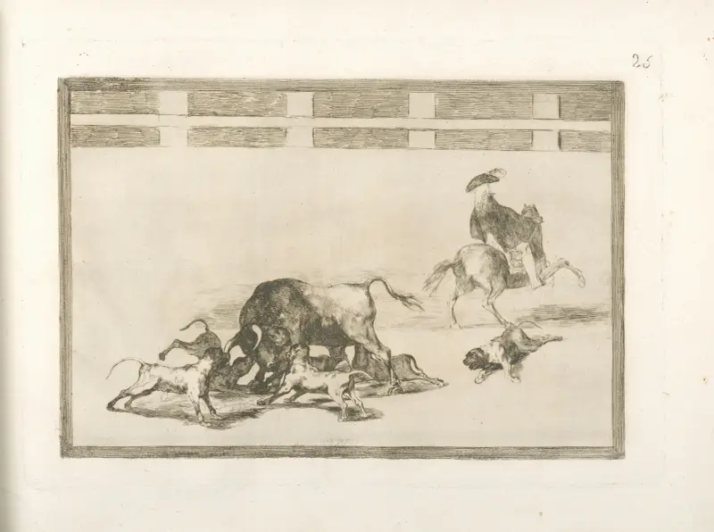 Psi štvaní na býka, Francisco de Goya