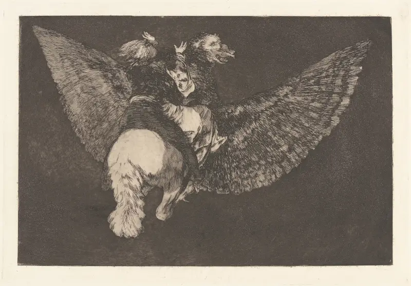 Förneka vännen som täcker dig med sin näbb [Flygande dårskap] av Francisco de Goya