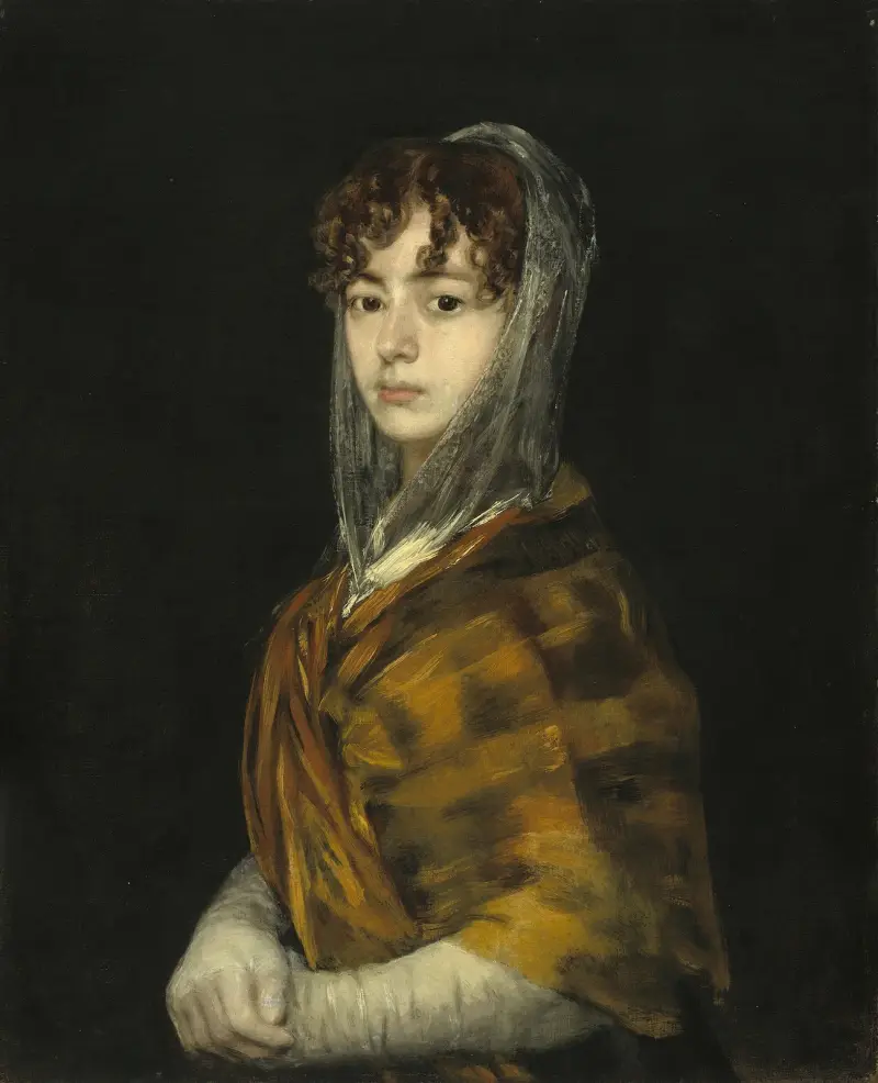 Señora Sabasa Garcia, Francisco de Goya