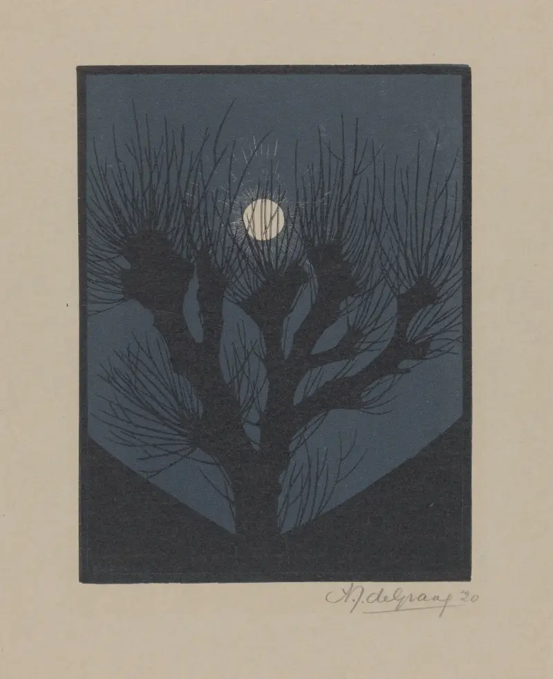 Měsíčná noc, Julie de Graag