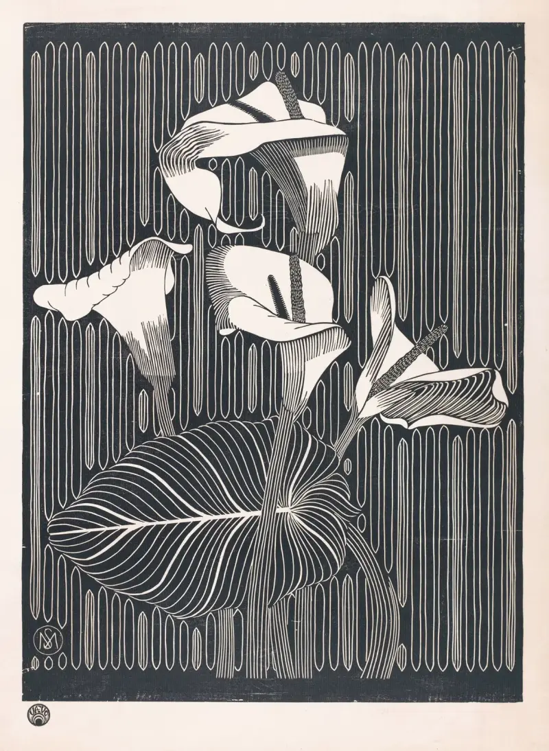 Kalla (Aronskelken), Samuel Jessurun de Mesquita