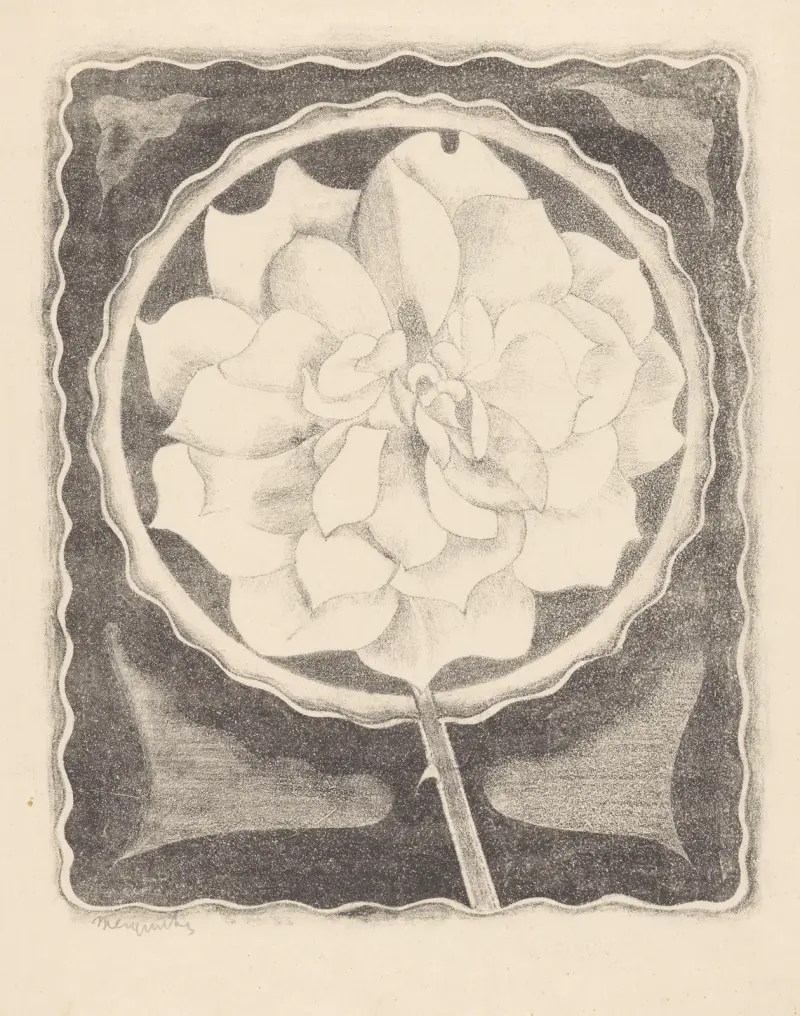 Róża (w okręgu, z falistą krawędzią), Samuel Jessurun de Mesquita
