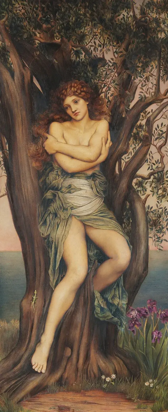 Dryáda, Evelyn De Morgan