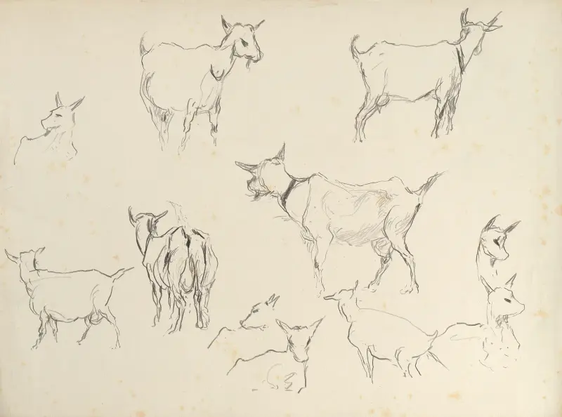 Goats (study) av Rodolphe De Saegher