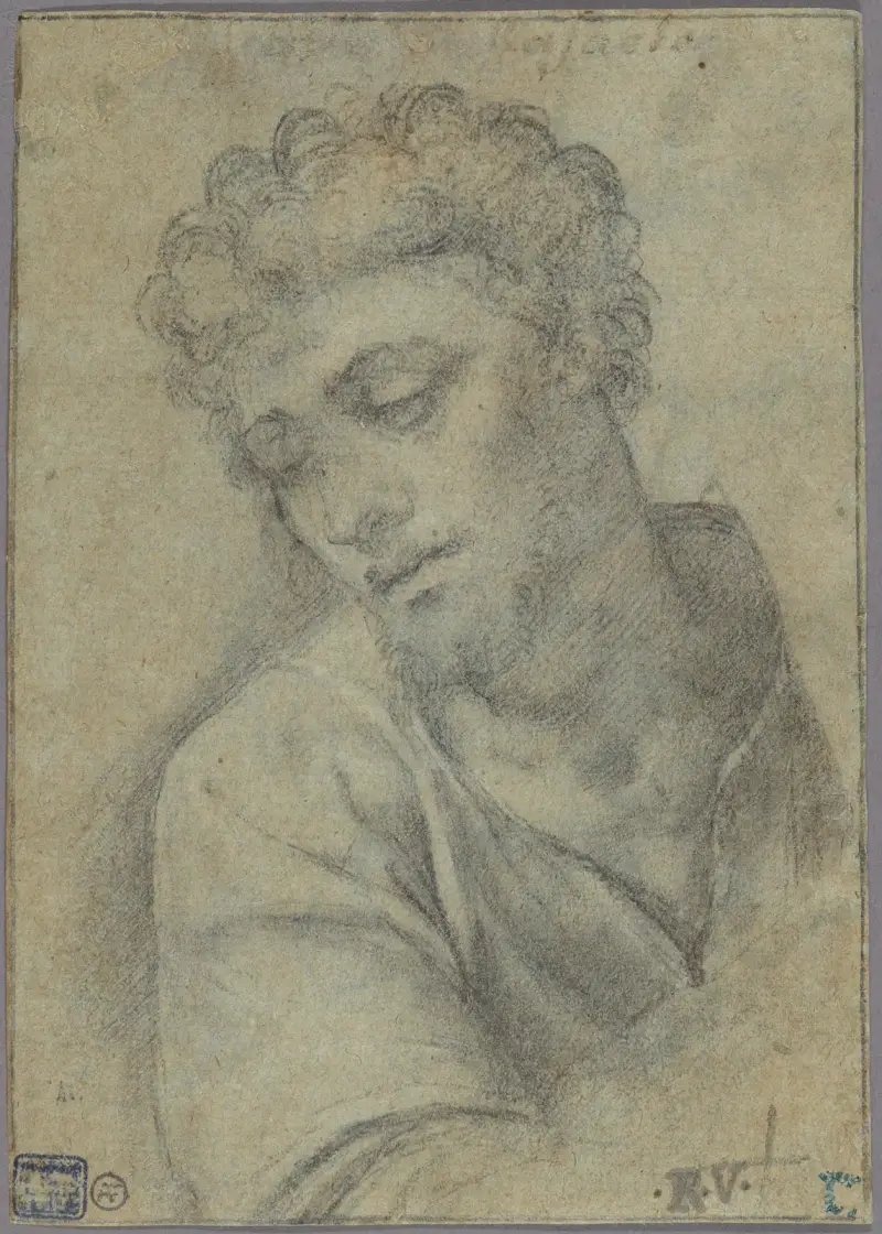 Studie für die Figur des Christus, das Kreuz tragend von Sebastiano del Piombo