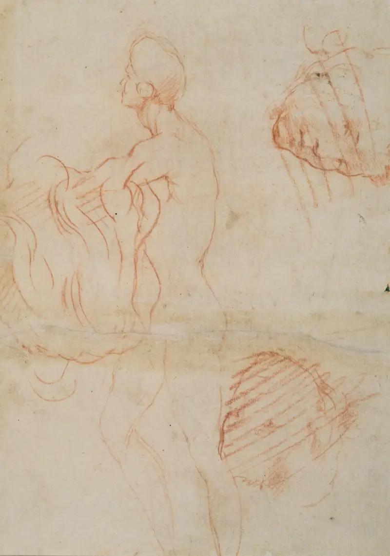 Figure Study and Face av Andrea del Sarto