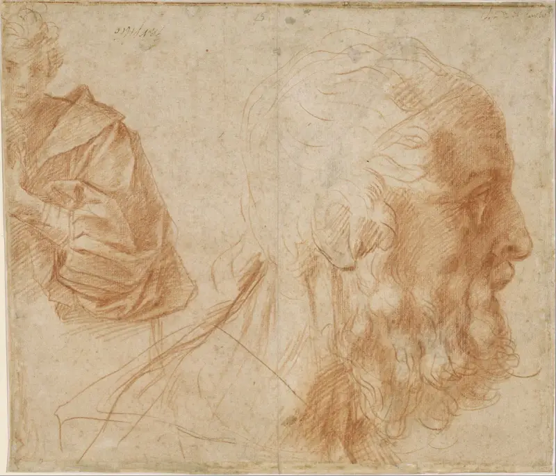Studieblad med en ung man och en gammal mans huvud som blickar åt höger av Andrea del Sarto