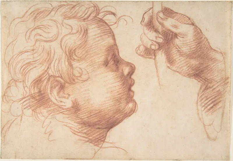 Studier av ett huvud och en hand av Andrea del Sarto