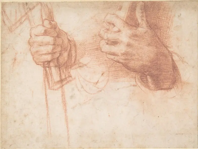 Studies of Hands av Andrea del Sarto