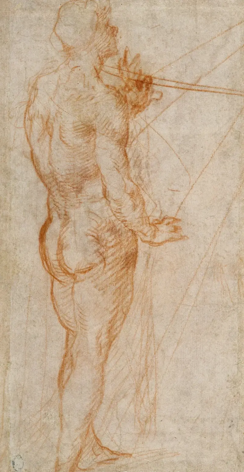 Studie av en naken man av Andrea del Sarto