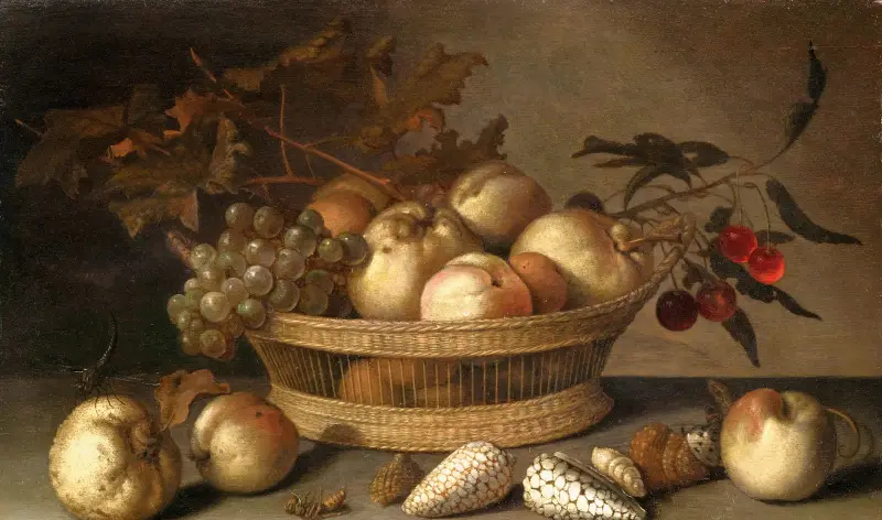 En korg med körsbär, äpplen, persikor och en druvklase, omgiven av äpplen, persikor, snäckor, bin och en trollslända – nr 1 av Balthasar van der Ast