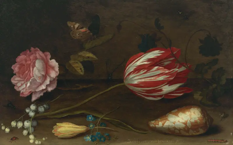 Růže, tulipán, hmyz a lastura na římse, Balthasar van der Ast