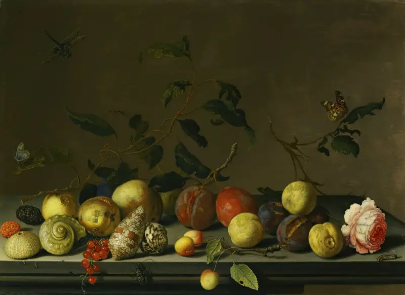 Stilleben med frukt och snäckor, en ros och olika insekter på en stenavsats av Balthasar van der Ast