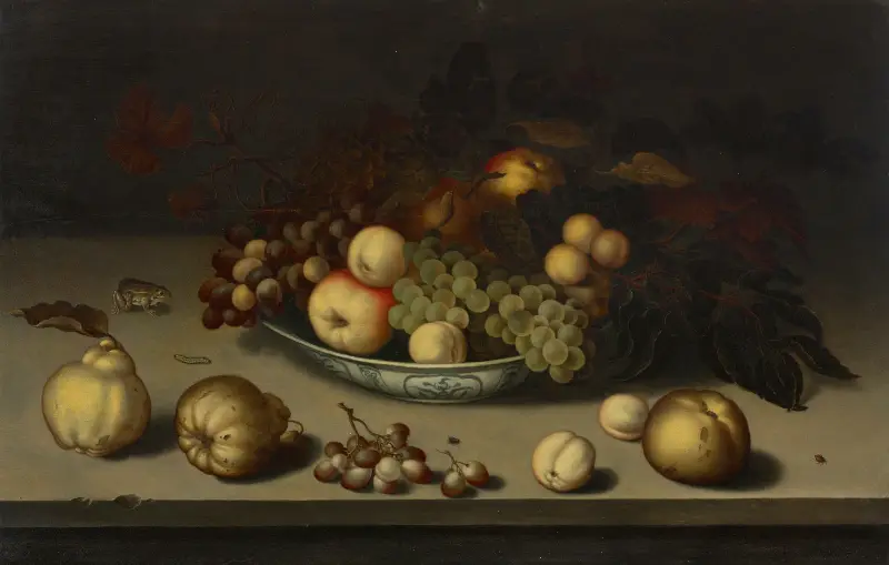 Vindruvor, äpplen, persikor och aprikoser i en wanli-skål, med kvitten, en groda, en larv, en fluga och en skalbagge på en stenavsats av Balthasar van der Ast