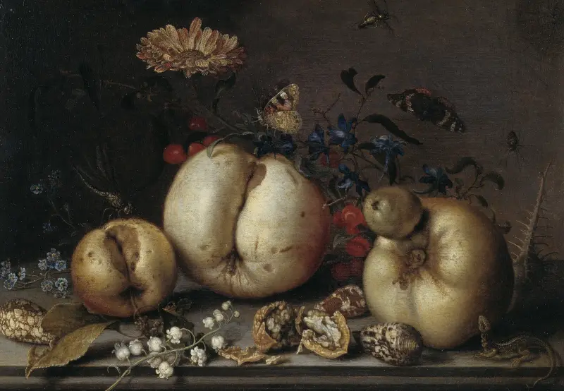 Zátiší s ovocem a mušlemi, Balthasar van der Ast