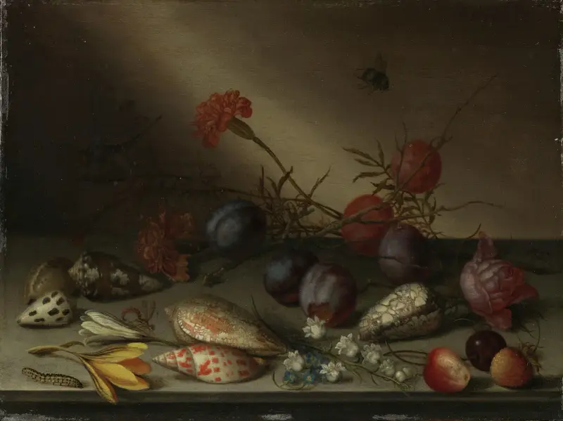 Stillleben mit Muscheln, Früchten und Blumen von Balthasar van der Ast