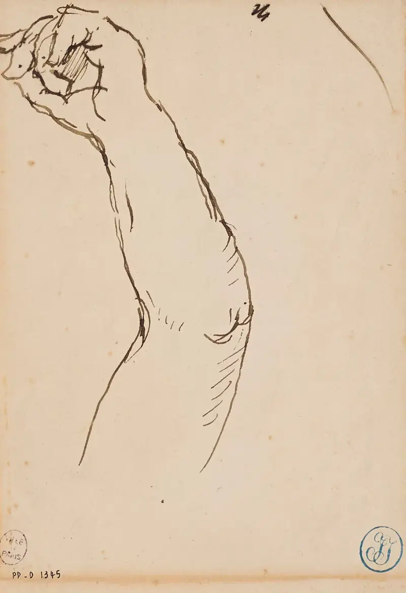Etude de bras av Jean Auguste Dominique Ingres