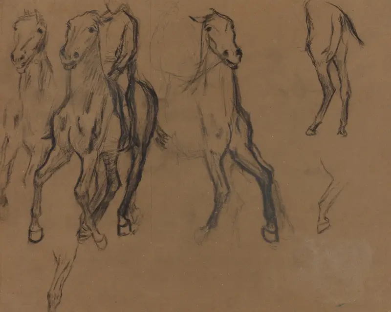 Study of Horses av Edgar Degas