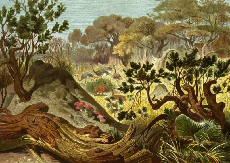 Die Insekten, Tausendfüssler und Spinnen Pl 16 von Alfred Edmund Brehm