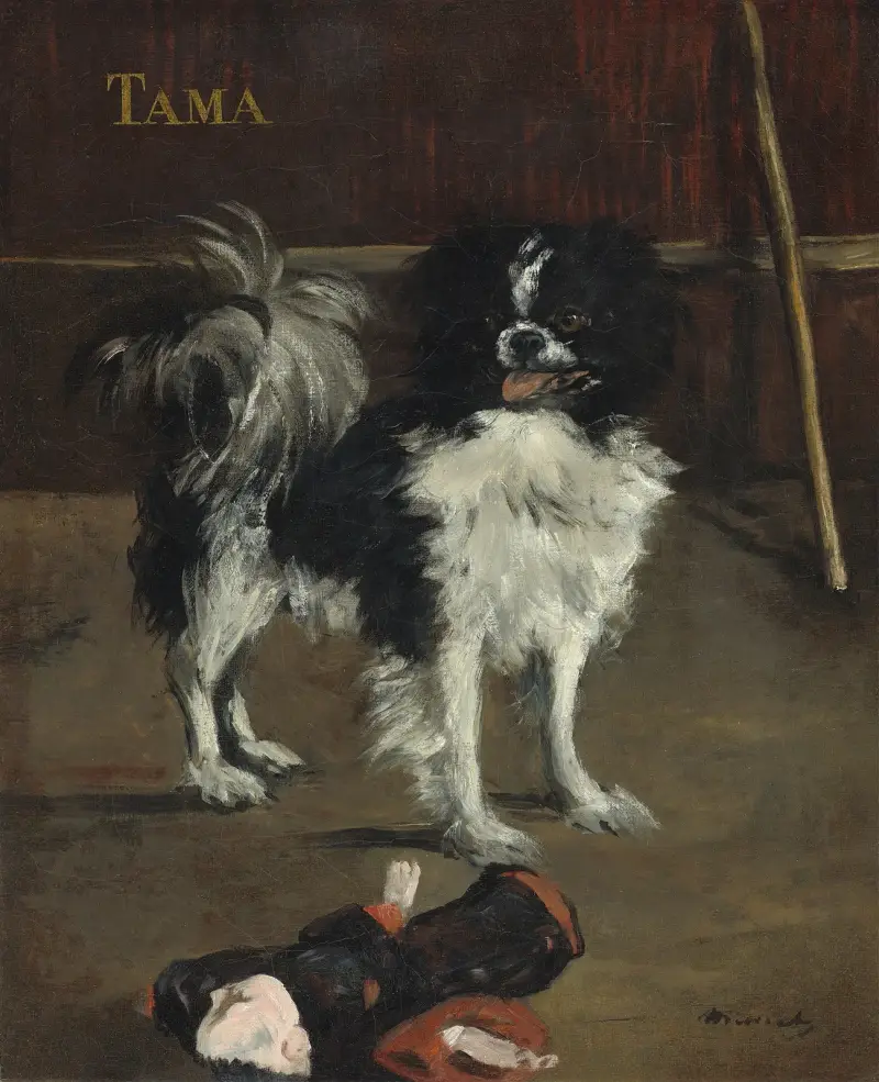 Tama, den japanska hunden av Édouard Manet
