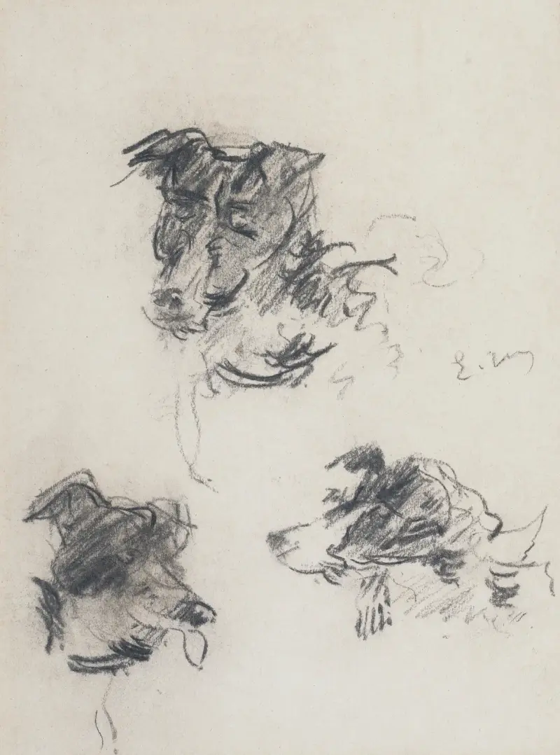 Têtes de chiens av Édouard Manet