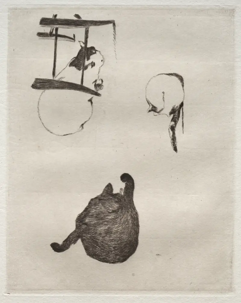 Die Katzen von Édouard Manet