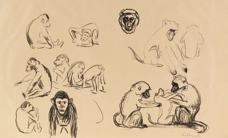 Affen I und II av Edvard Munch