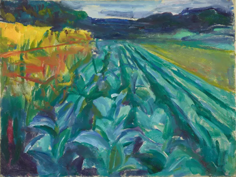 Kohlfeld von Edvard Munch