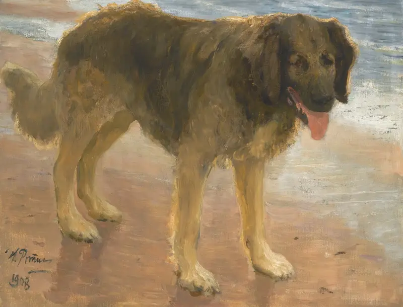 Nord von Ilya Efimovich Repin