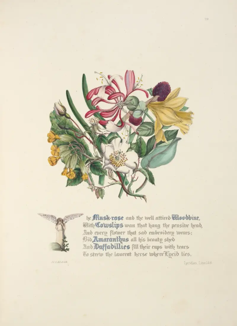 Lycidas, Jane Elizabeth Giraud