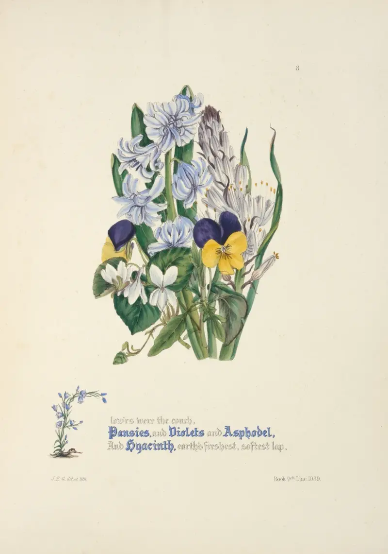 Penséer, violer, asfodel och hyacint av Jane Elizabeth Giraud
