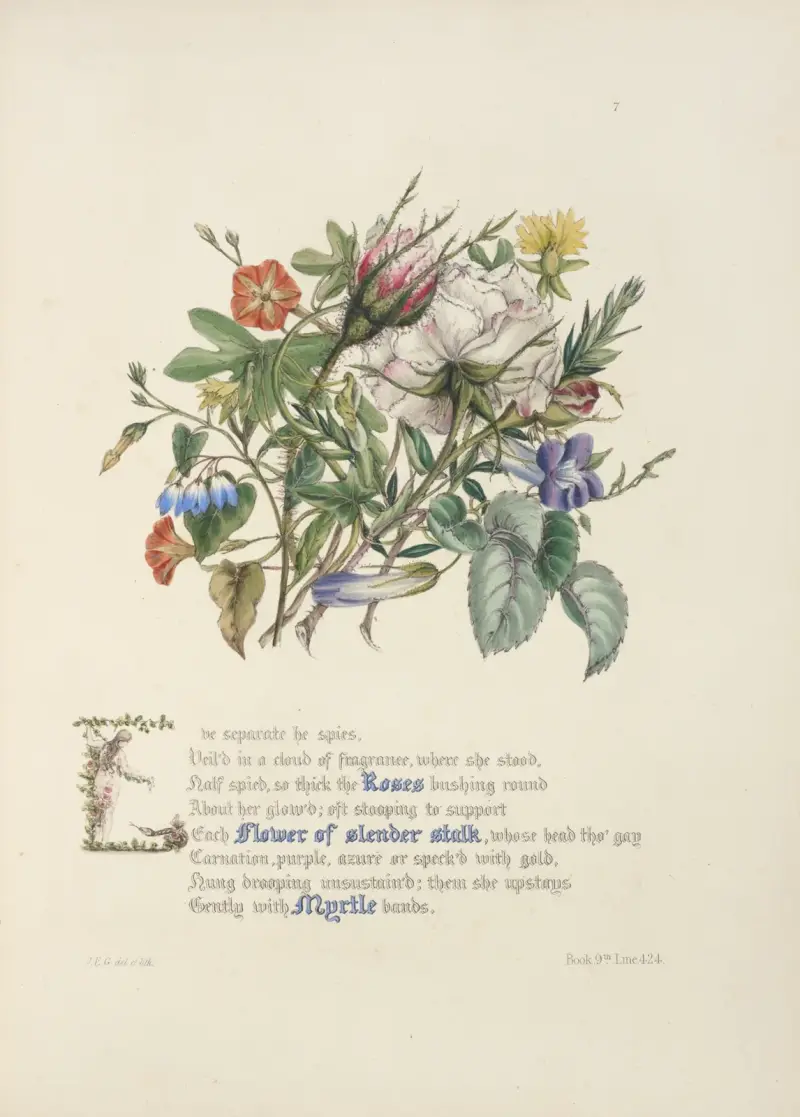 Rosor, blommor på smal stjälk, myrten av Jane Elizabeth Giraud