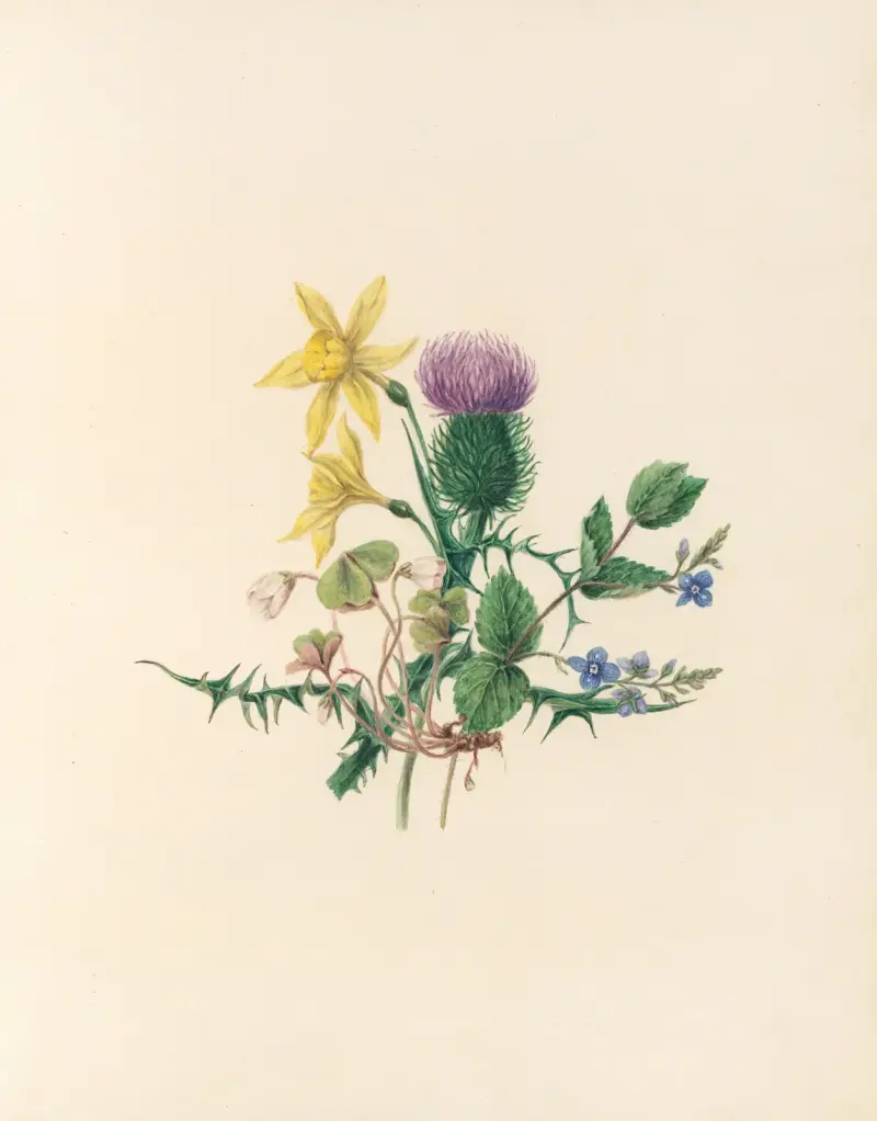 Das Blumenfest, Tafel 02 von Jane Elizabeth Giraud