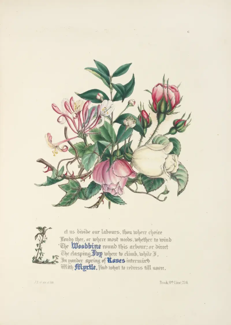 Vildkaprifol, murgröna, rosor och myrten av Jane Elizabeth Giraud