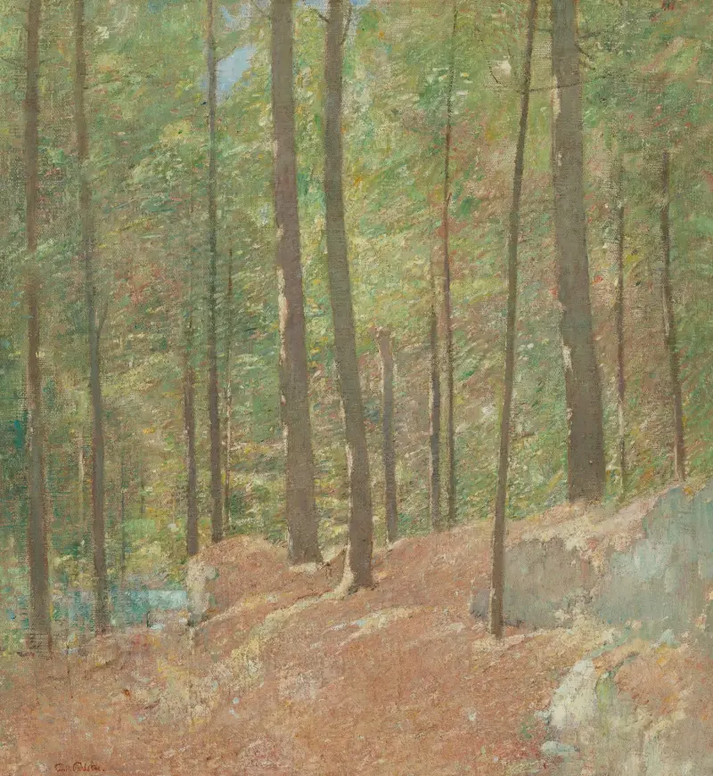 In the Pine Woods av Emil Carlsen