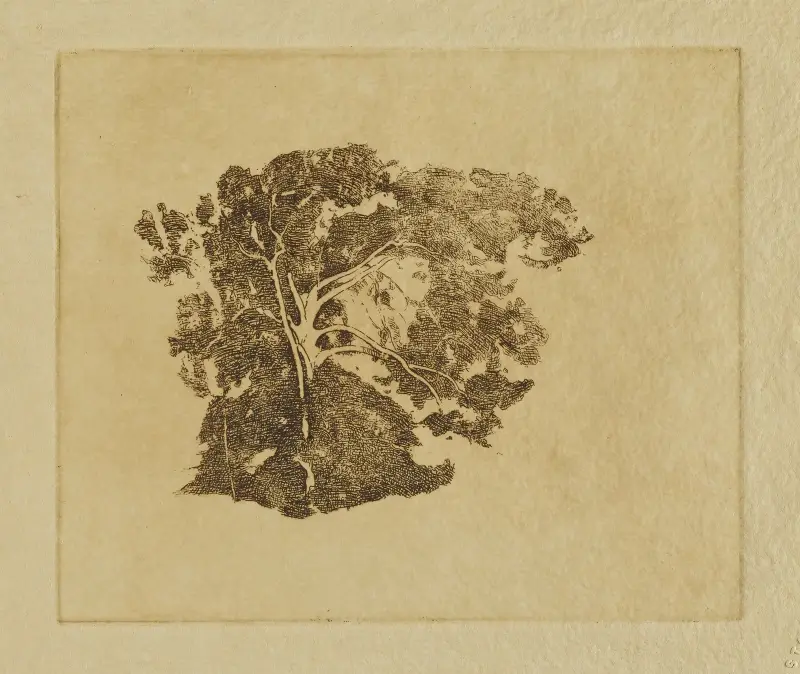 Tree Study av Emil Carlsen