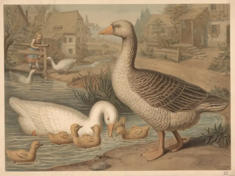 Goose av Emil Schmidt