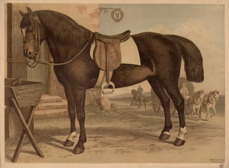 Pferd von Emil Schmidt