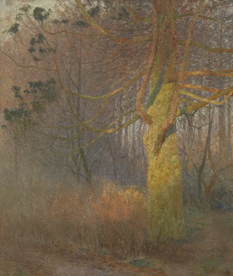 Strom v slunci, Emile Claus