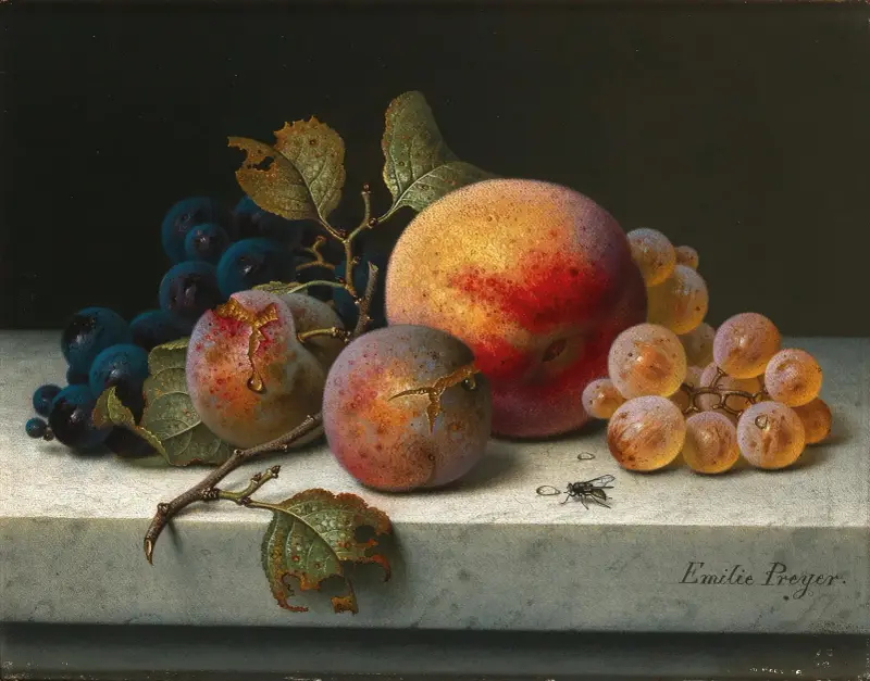 Still Life with Peach, Plums, Grapes and a Fly av Emilie Preyer