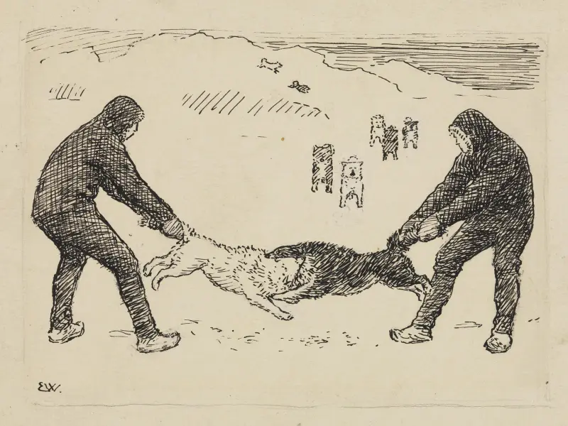 Unsere kämpfenden Hunde von Erik Werenskiold