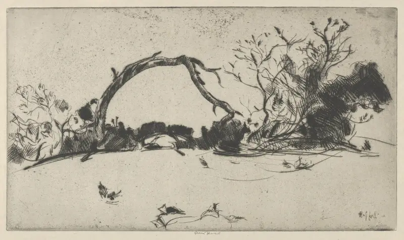 Cypress Study No. 1 av Ernest Haskell