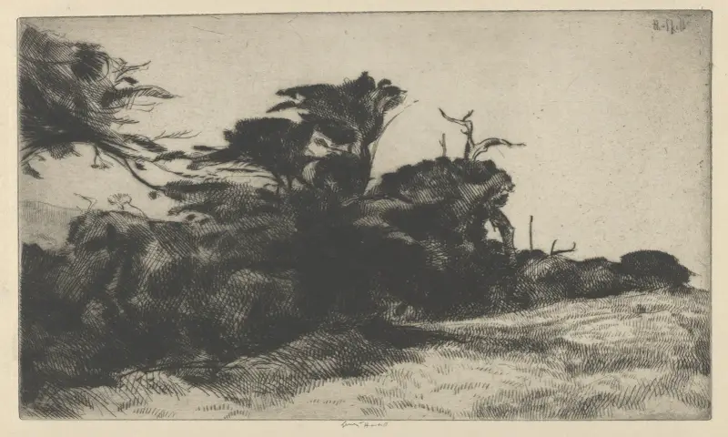 Studie cypřiše č. 2, Ernest Haskell