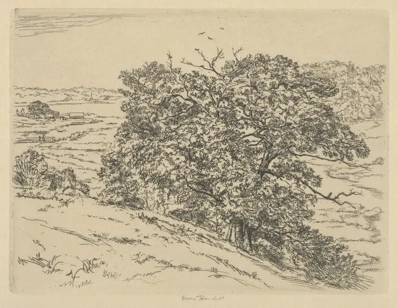 Dromore Oaks von Ernest Haskell