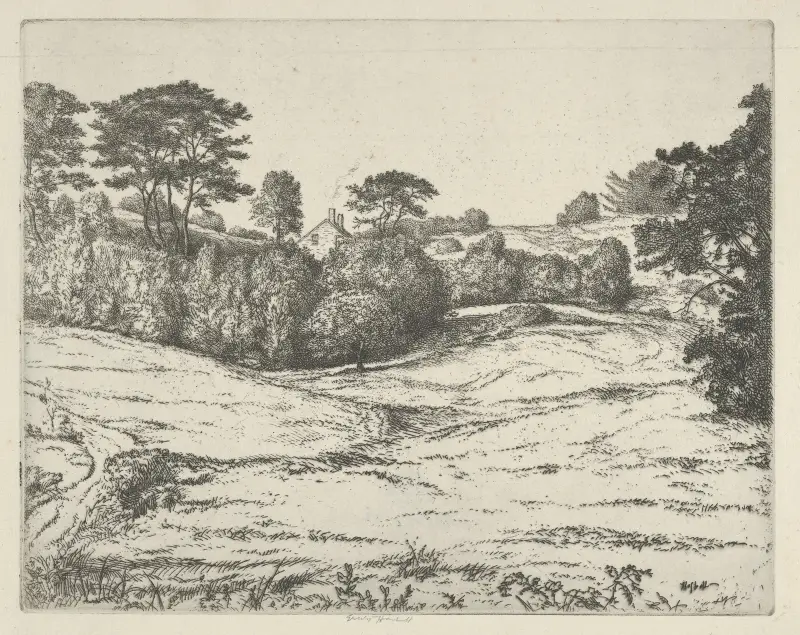 Dromore Vale av Ernest Haskell